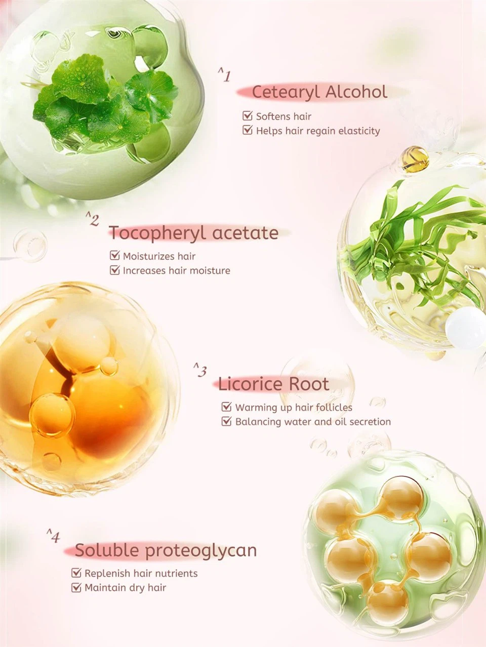 Sakura Amino Acid Shampoo